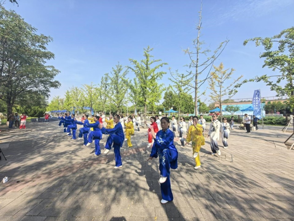 太极拳爱好 太极拳爱好